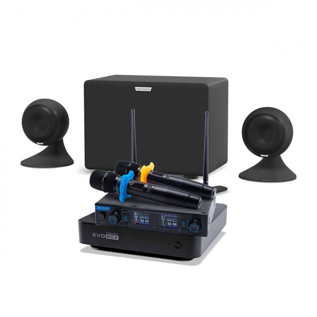 караоке-комплект EVOBOX + EvoSound Sphere 2.1 в Нижнем Новгороде