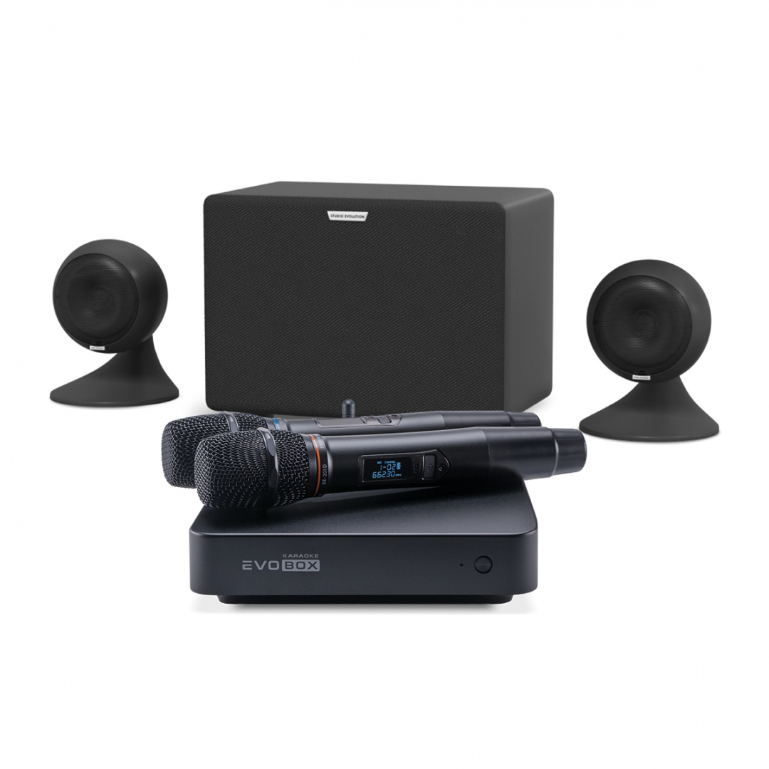 караоке-комплект EVOBOX Plus + EvoSound Sphere 2.1 в Нижнем Новгороде