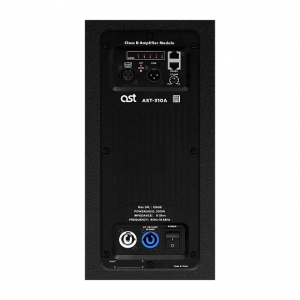 Активная акустическая система AST-310A в Нижнем Новгороде