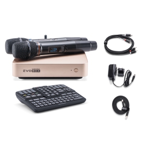EVOBOX Classic караоке-система для дома в Нижнем Новгороде