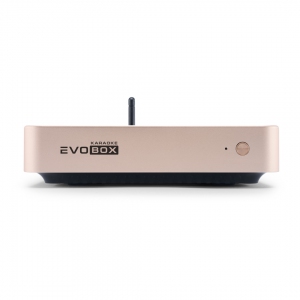 EVOBOX Plus караоке-система для дома в Нижнем Новгороде